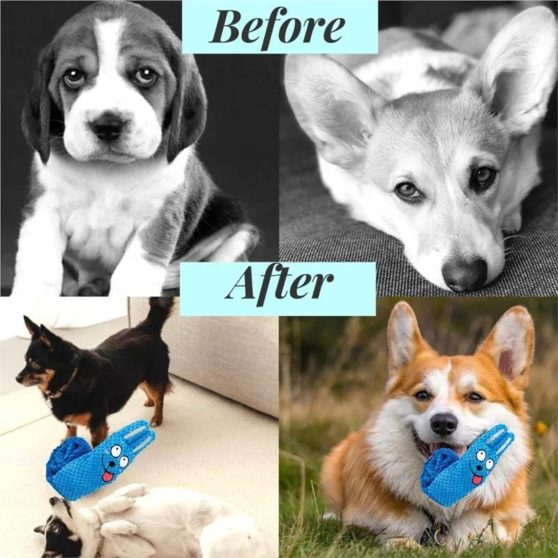 Squeaky Interactive Dog Puppy Bite-Resistant Soft Comfortable Dog Toy